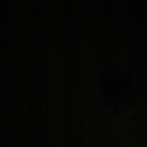 Meet your Posher, Raysha